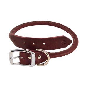 Ray Allen Rolled Leather Buckle Dog Collar